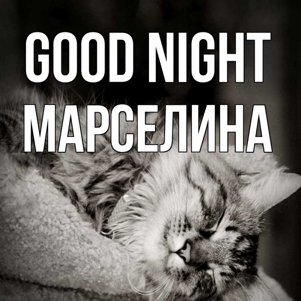 Greetings card с именем, Марселина Good night котярик пушистый Greetings with text for free download 