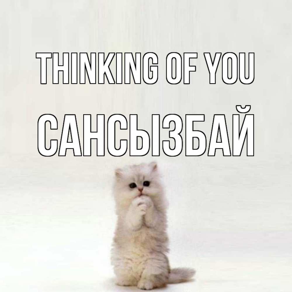 Greetings card с именем, САНСЫЗБАЙ Thinking of you кот стоит на задних лапах Greetings with text for free download 