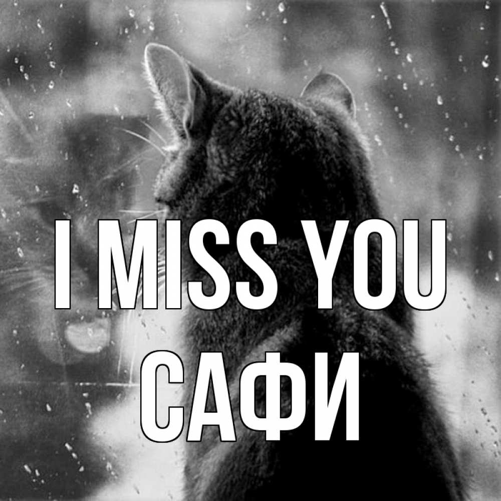 Greetings card с именем, САФИ I miss you скорее ко мне приходи 1 Greetings with text for free download 