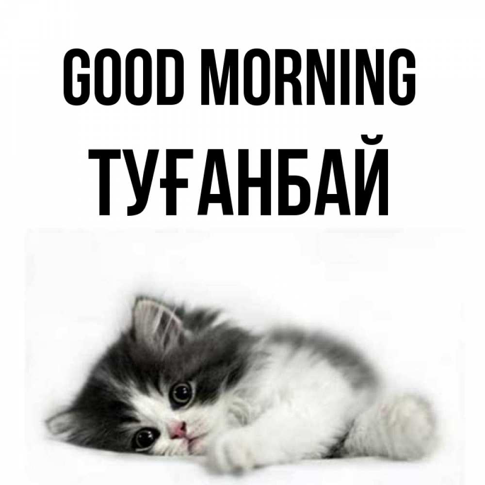 Greetings card с именем, ТУҒАНБАЙ Good morning кот лапки Greetings with text for free download 