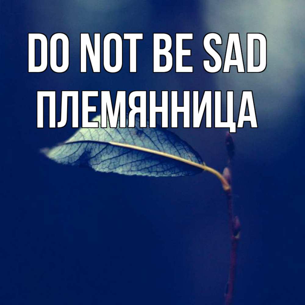Greetings card с именем, Племянница Do not be sad растение Greetings with text for free download 