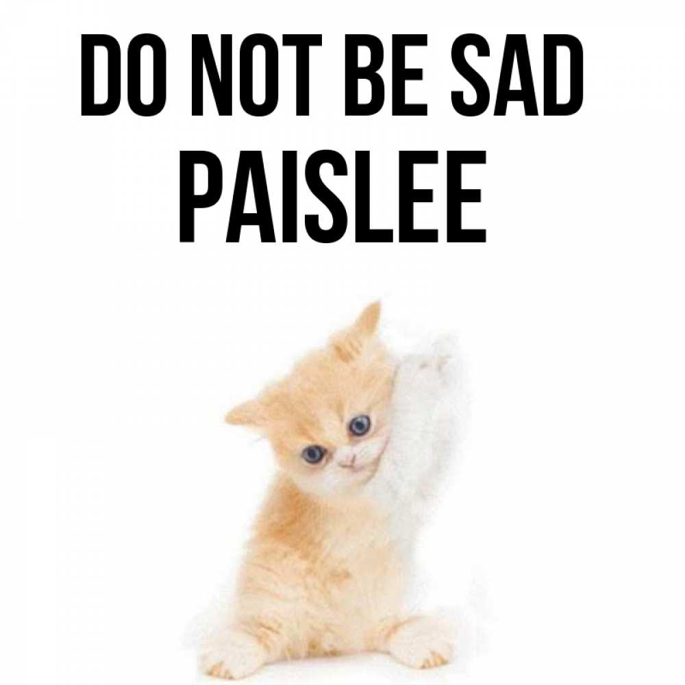Greetings card с именем, Paislee Do not be sad просящий кот Greetings with text for free download 