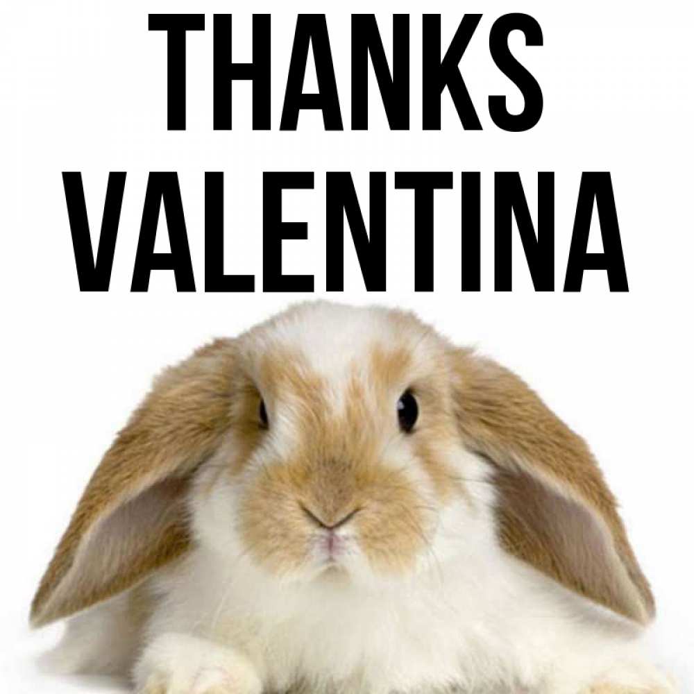 Greetings card с именем, Valentina Thanks коричнево белый заяц Greetings with text for free download 