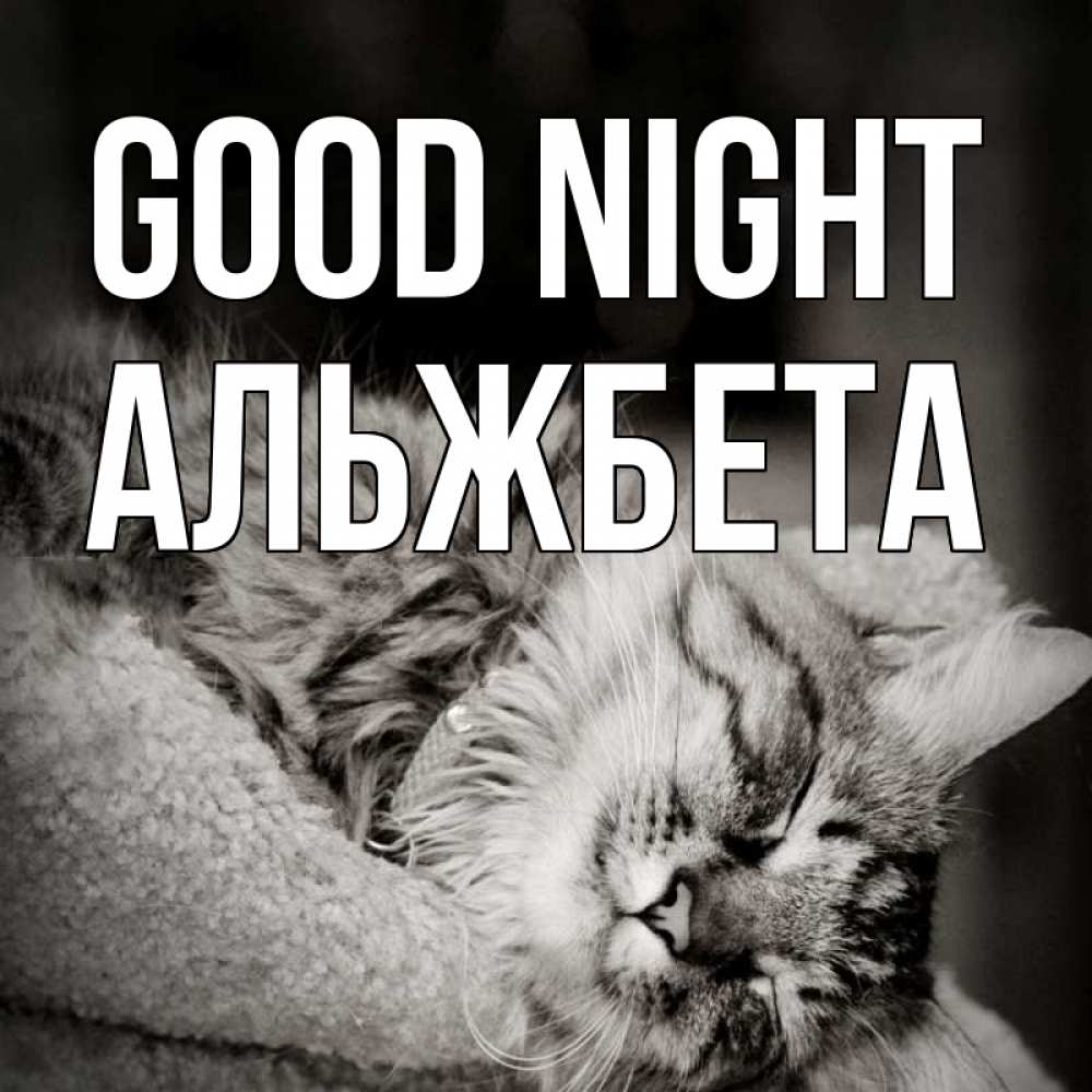 Greetings card с именем, Альжбета Good night котярик пушистый Greetings with text for free download 