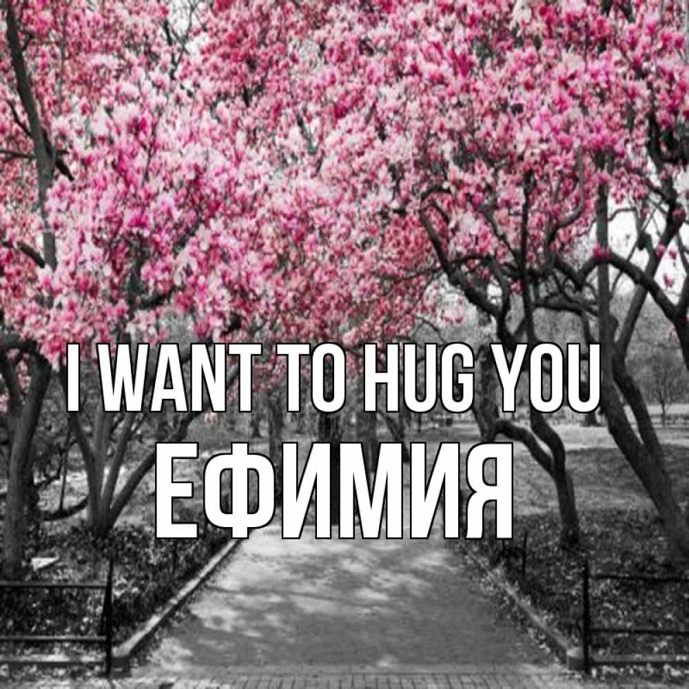 Greetings card с именем, Ефимия I want to hug you обработанное фото Greetings with text for free download 