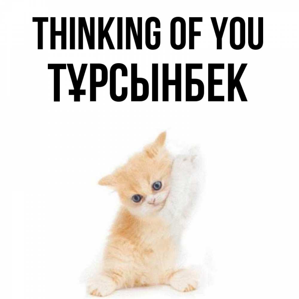 Greetings card с именем, ТҰРСЫНБЕК Thinking of you зверушки и милота Greetings with text for free download 
