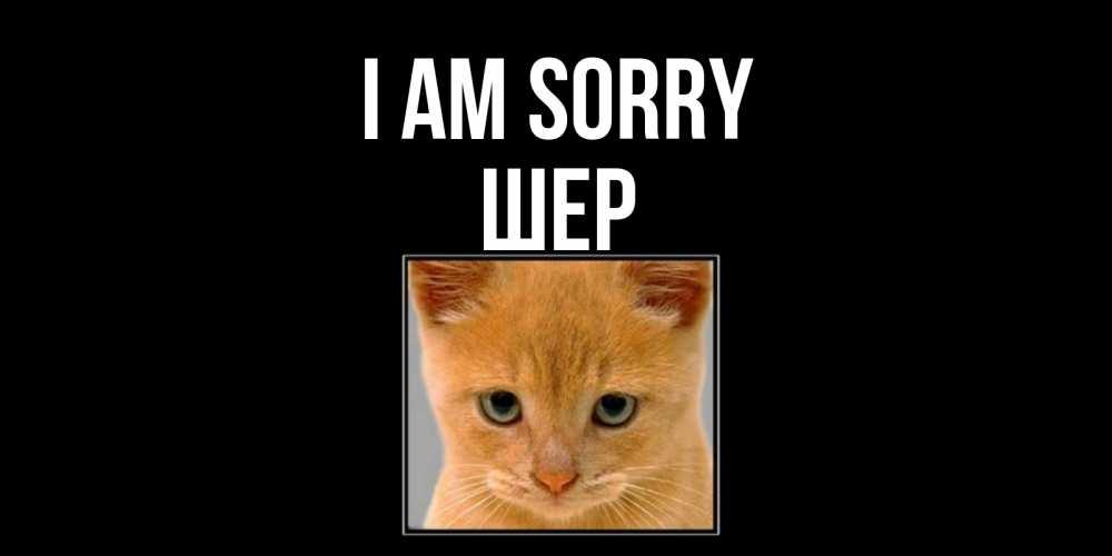 Greetings card с именем, ШЕР I am sorry рыжий грустный кот просит прощения Greetings with text for free download 