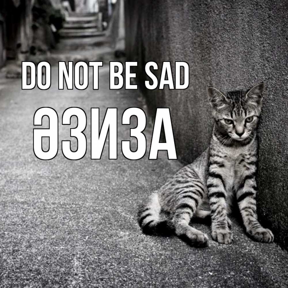 Greetings card с именем, ӘЗИЗА Do not be sad скучающий котик Greetings with text for free download 
