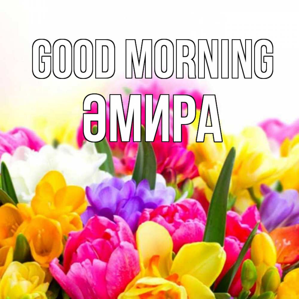 Greetings card с именем, ӘМИРА Good morning создать открытку со свое подписью Greetings with text for free download 