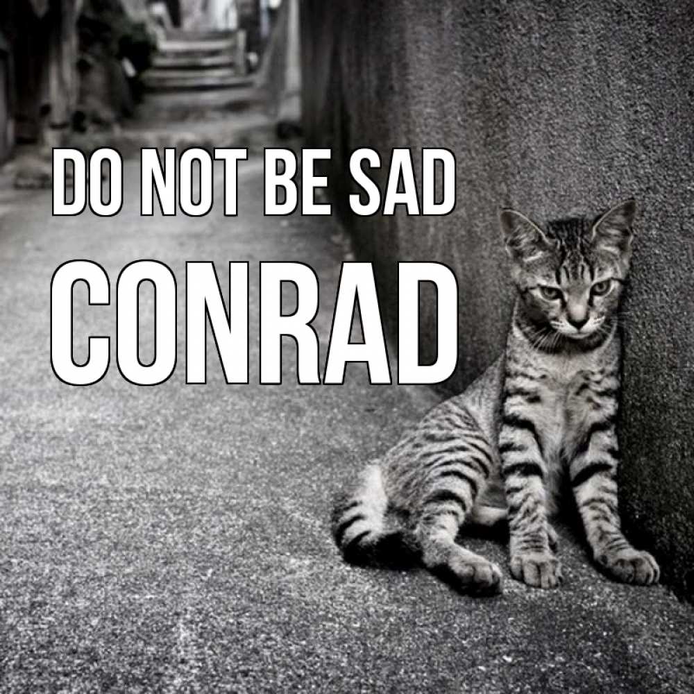 Greetings card с именем, Conrad Do not be sad скучающий котик Greetings with text for free download 
