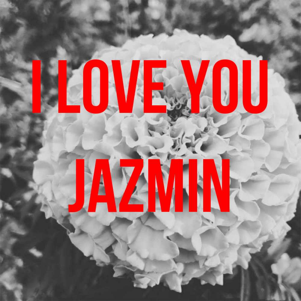 Greetings card с именем, Jazmin I love you подпись Greetings with text for free download 
