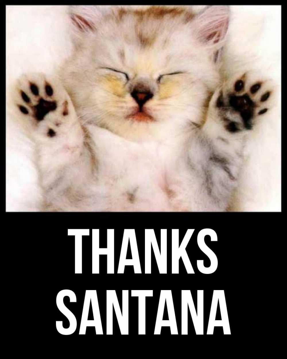 Greetings card с именем, Santana Thanks маленький котенок Greetings with text for free download 