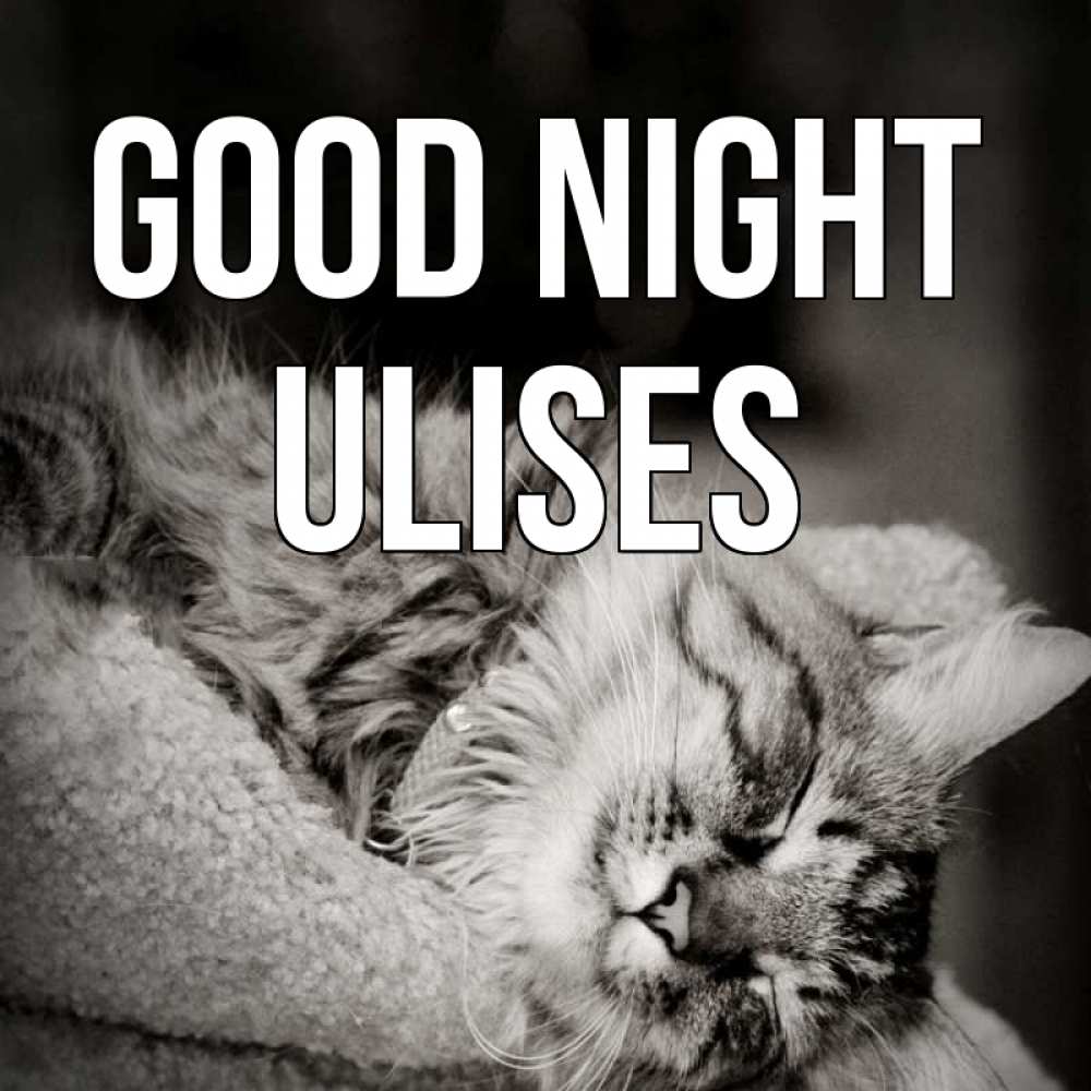 Greetings card с именем, Ulises Good night котярик пушистый Greetings with text for free download 