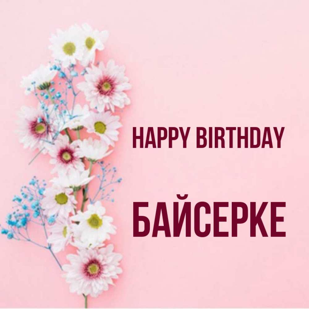 Greetings card с именем, Байсерке Happy Birthday Родная моя с днем рождения тебя картинка с цветами белыми и голубыми Greetings with text for free download 