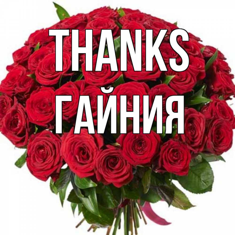 Greetings card с именем, ГАЙНИЯ Thanks букет красных роз Greetings with text for free download 