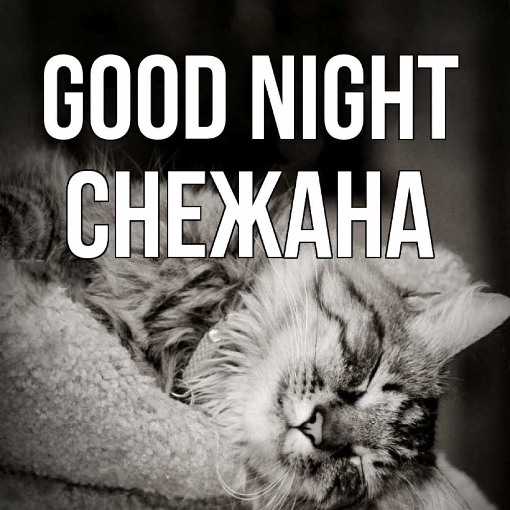 Greetings card с именем, Снежана Good night котярик пушистый Greetings with text for free download 
