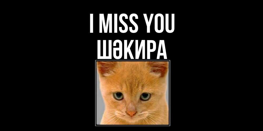 Greetings card с именем, ШӘКИРА I miss you открытки рыжий котенок скучает по тебе Greetings with text for free download 