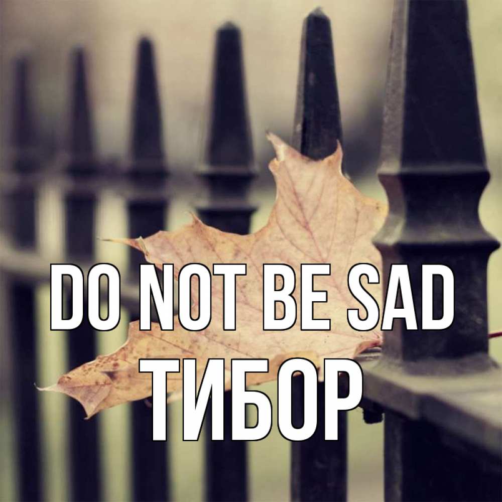 Greetings card с именем, Тибор Do not be sad лист клена Greetings with text for free download 