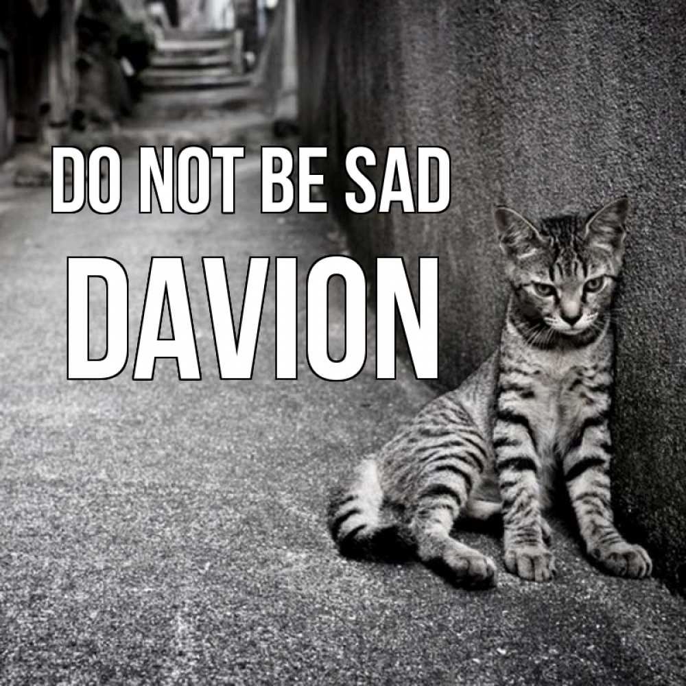 Greetings card с именем, Davion Do not be sad скучающий котик Greetings with text for free download 