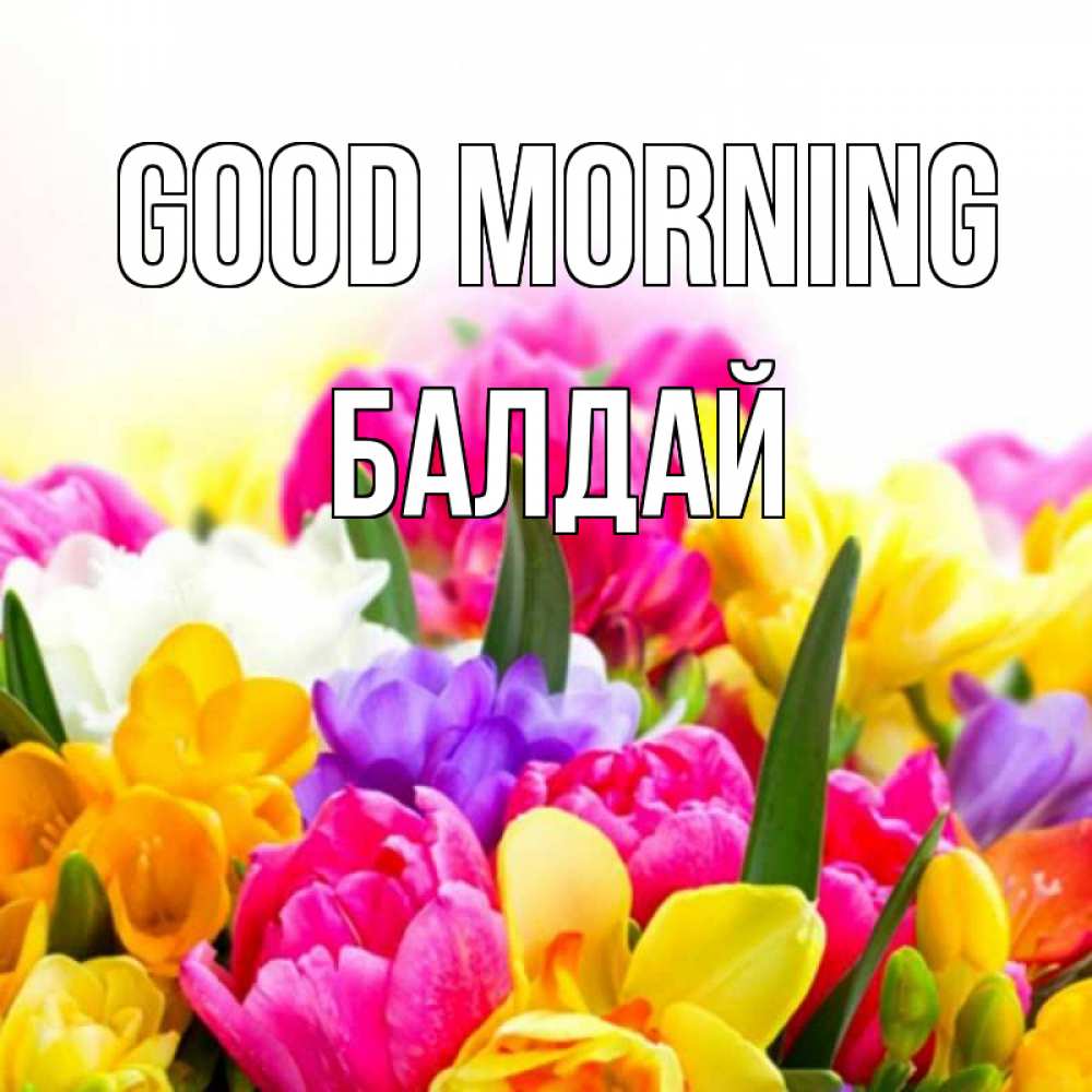Greetings card с именем, БАЛДАЙ Good morning создать открытку со свое подписью Greetings with text for free download 
