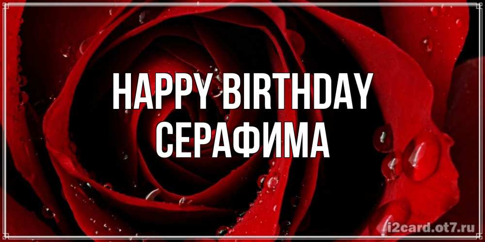 Greetings card с именем, Серафима Happy Birthday крупная бордовая роза Greetings with text for free download 