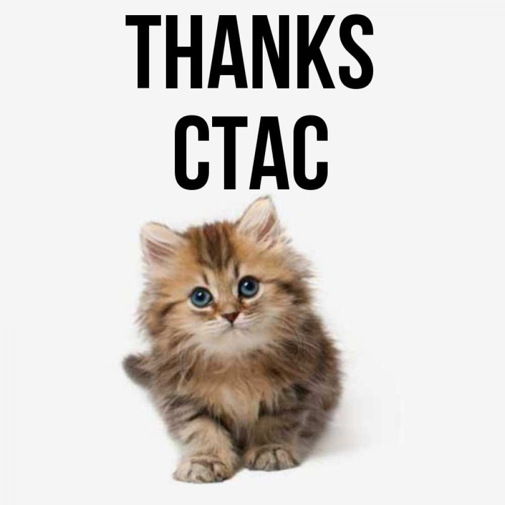 Greetings card с именем, Стас Thanks пушистый котик Greetings with text for free download 