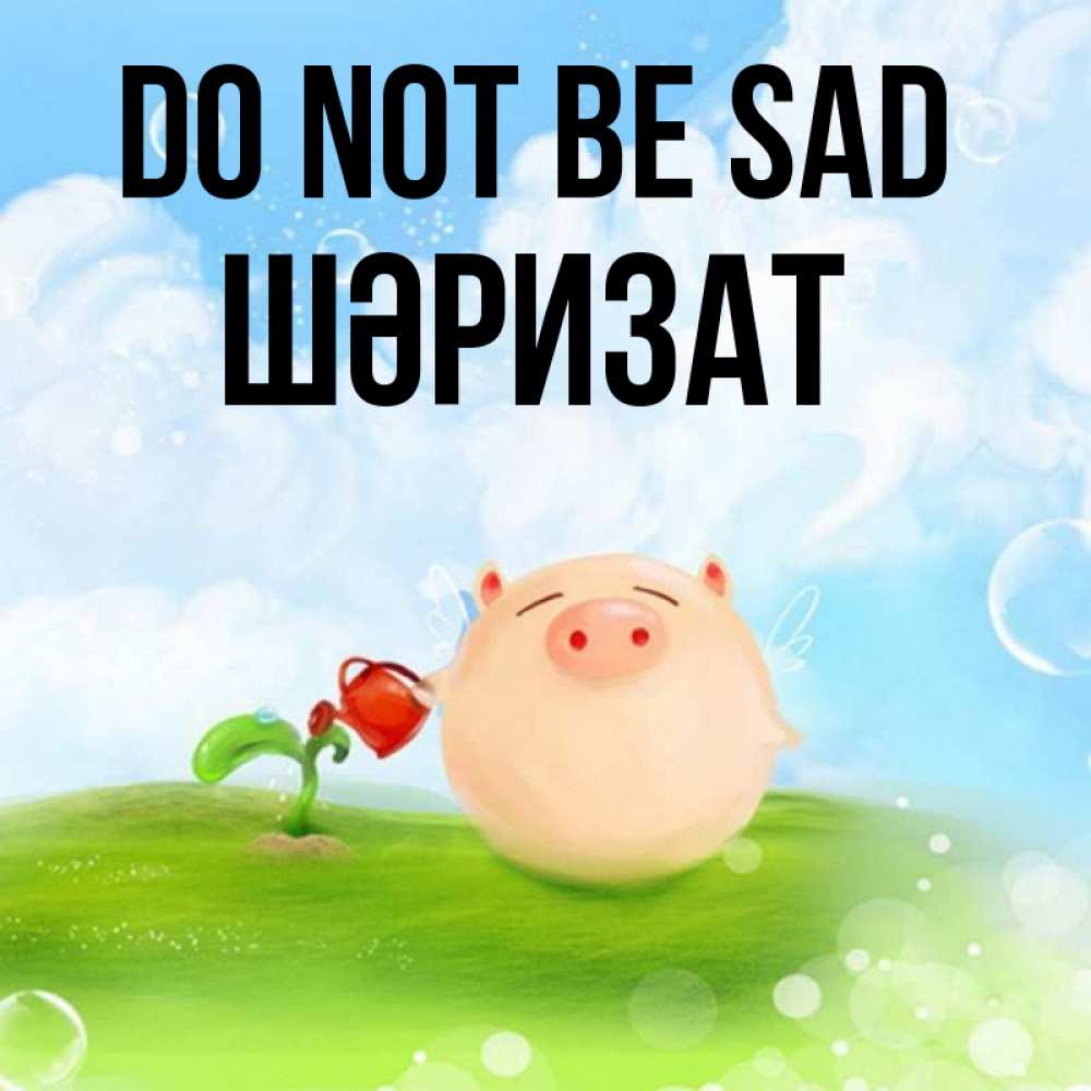 Greetings card с именем, ШӘРИЗАТ Do not be sad поливает цветок порося Greetings with text for free download 
