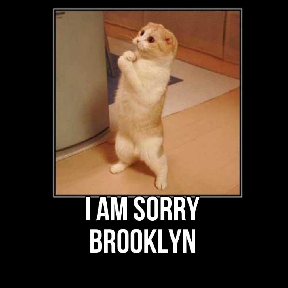 Greetings card с именем, Brooklyn I am sorry открытка с милым несчастным котиком просящим прощения Greetings with text for free download 