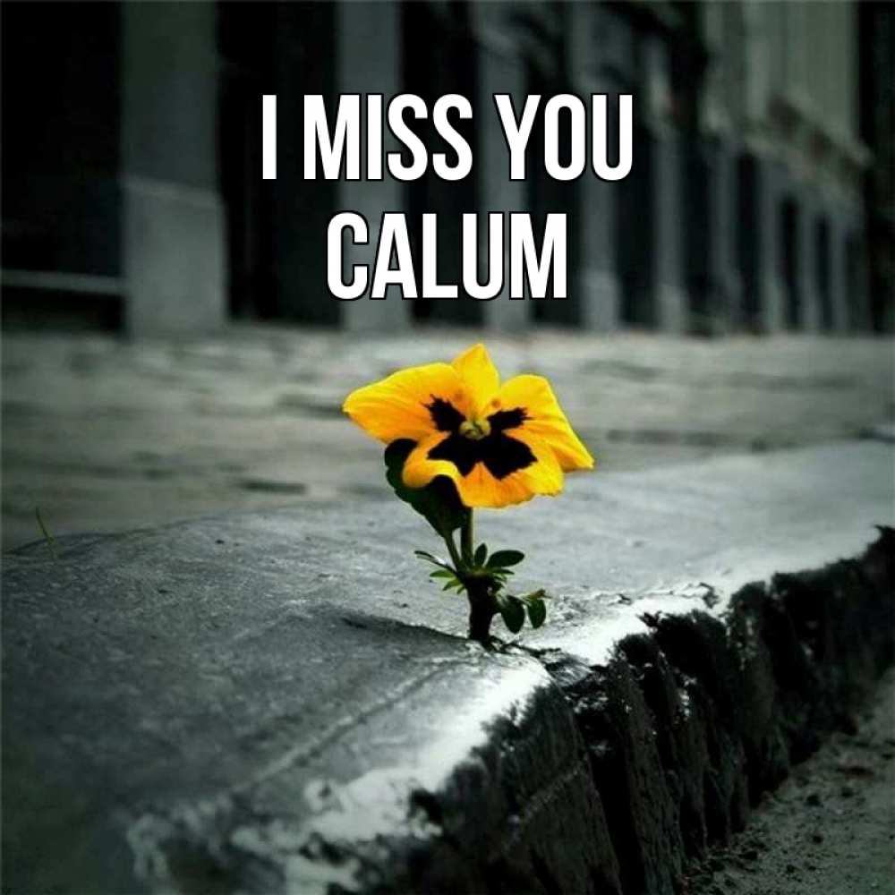 Greetings card с именем, Calum I miss you надеюсь будет лучше Greetings with text for free download 