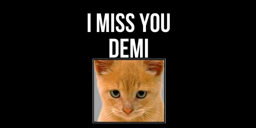Greetings card с именем, Demi I miss you открытки рыжий котенок скучает по тебе Greetings with text for free download 