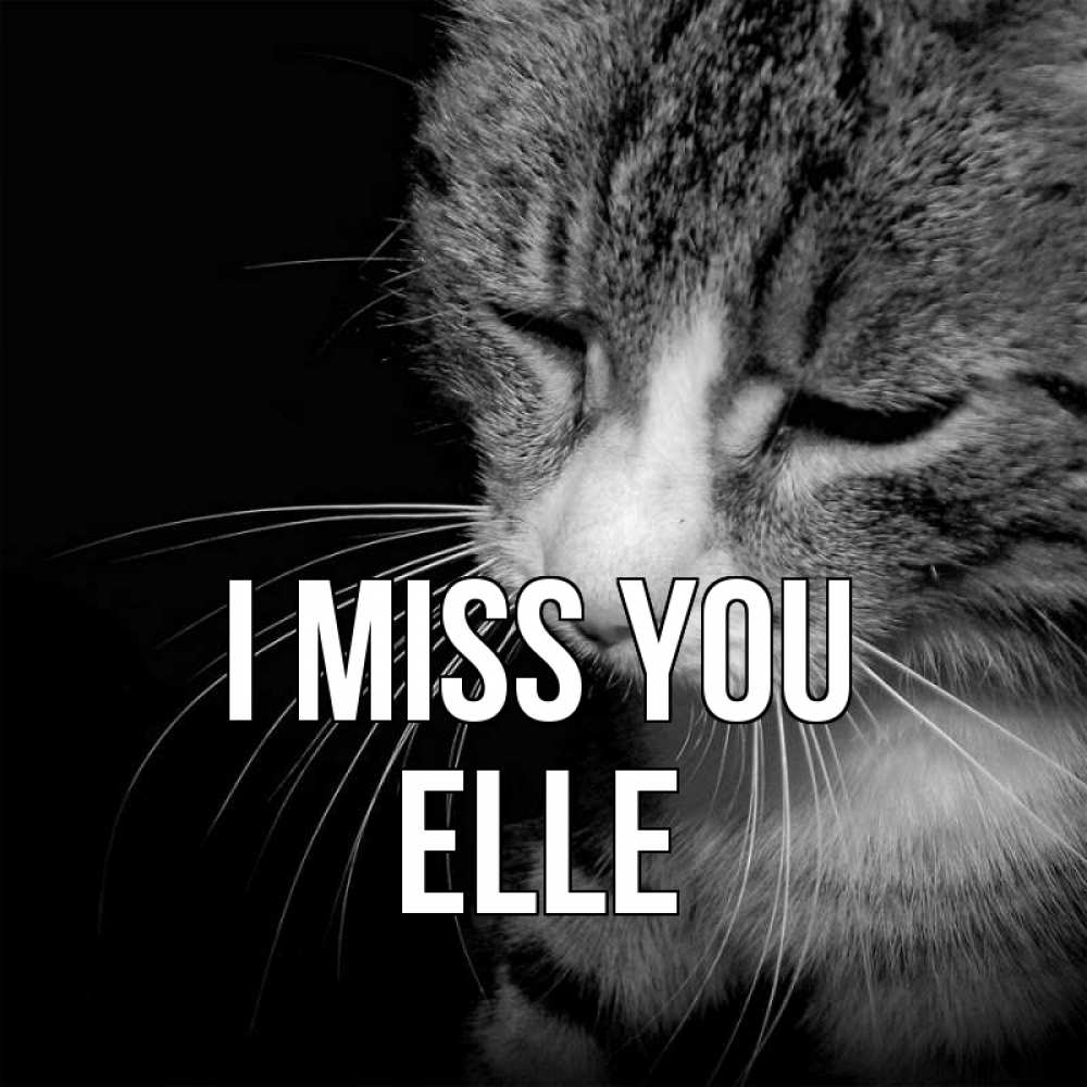 Greetings card с именем, Elle I miss you мне скучно Greetings with text for free download 