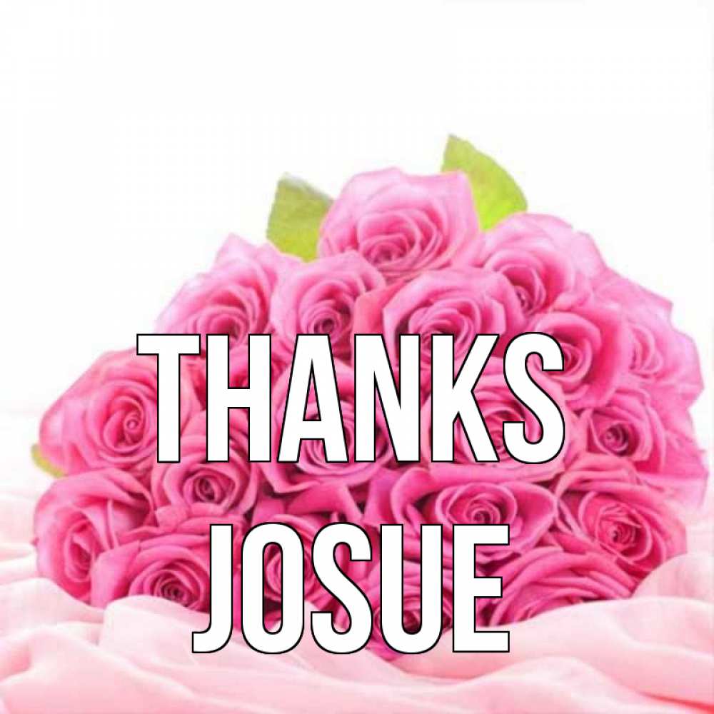 Greetings card с именем, Josue Thanks розовые розы с подписью Greetings with text for free download 