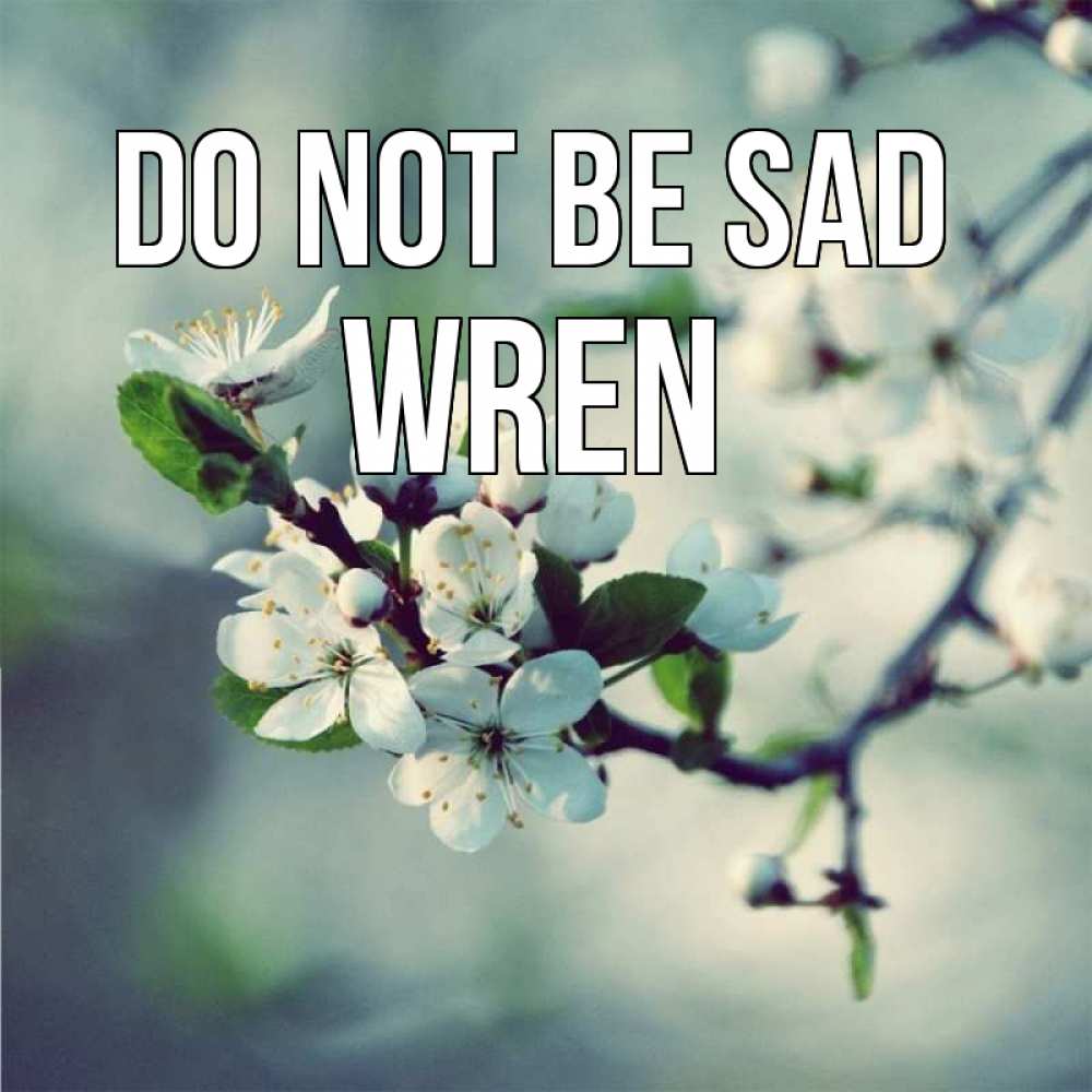 Greetings card с именем, Wren Do not be sad яблоня в цвету 1 Greetings with text for free download 