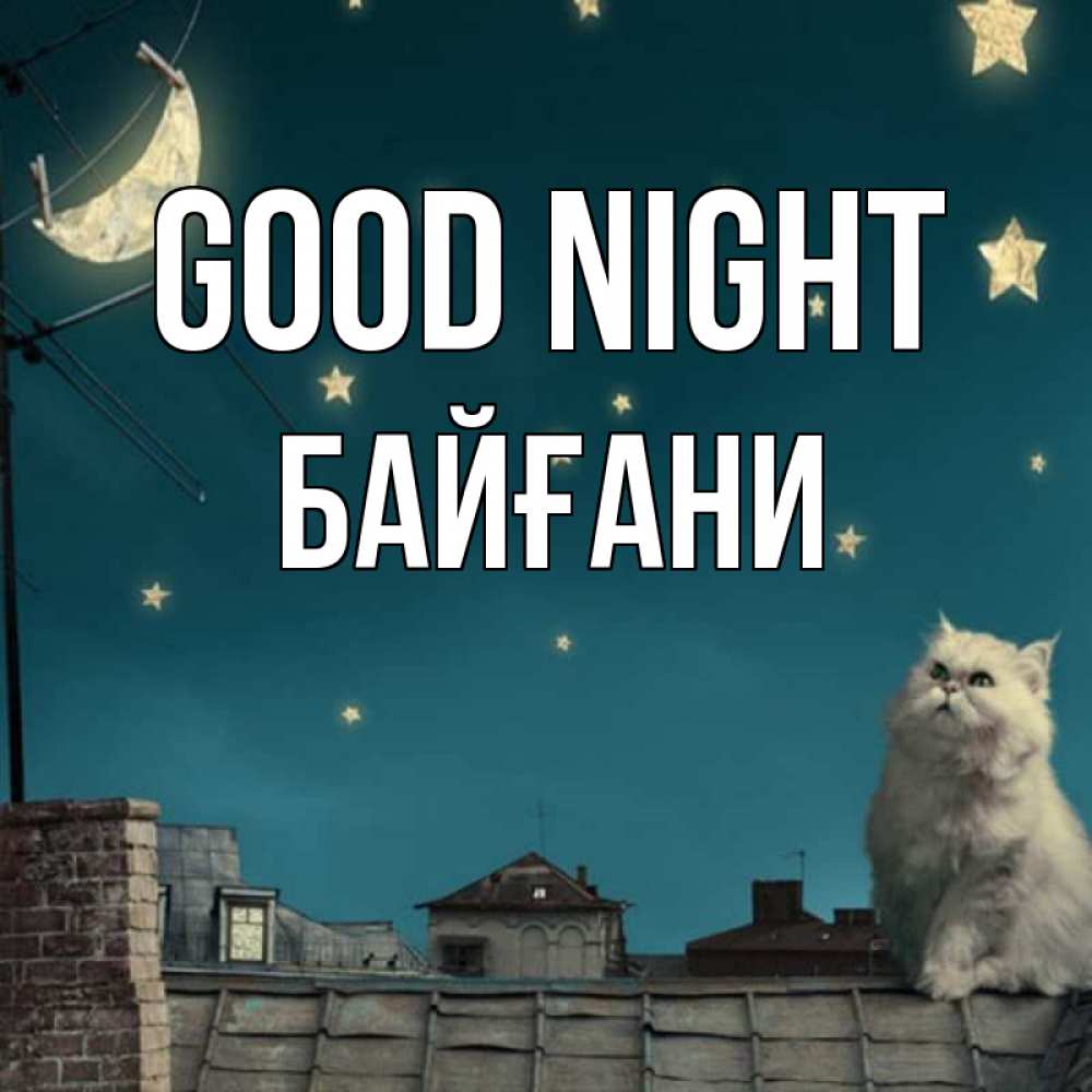 Greetings card с именем, Байғани Good night белый кот сидит на крыше Greetings with text for free download 