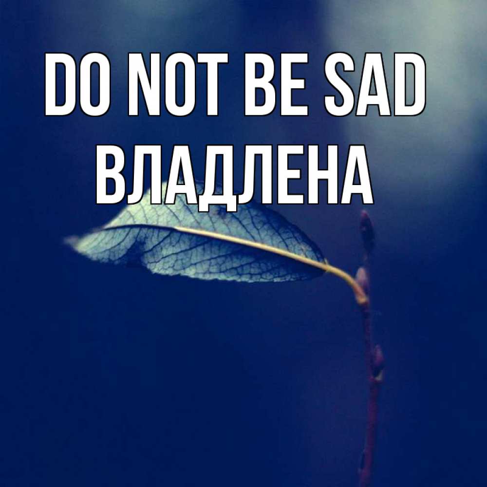 Greetings card с именем, Владлена Do not be sad растение Greetings with text for free download 