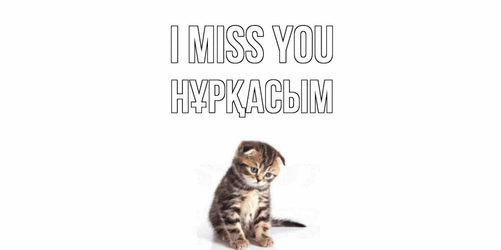 Greetings card с именем, НҰРҚАСЫМ I miss you кот Greetings with text for free download 