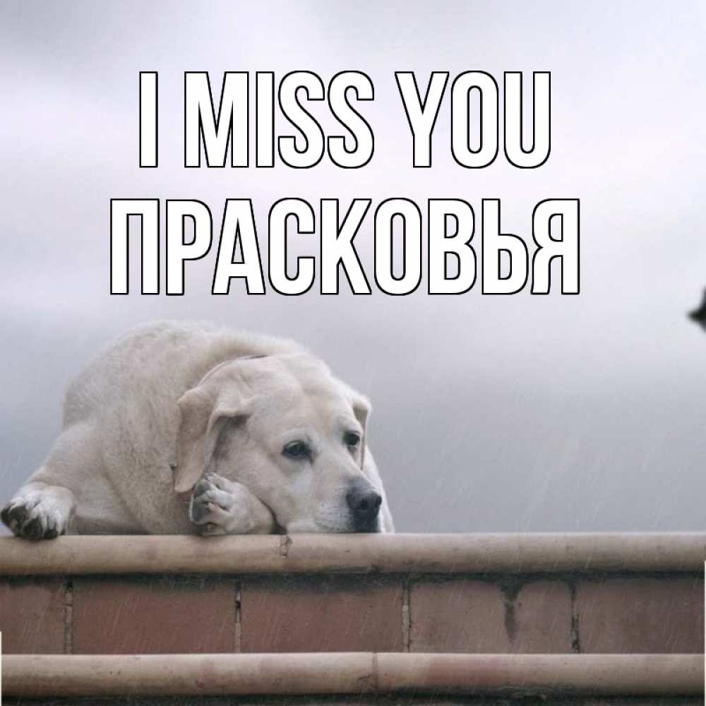 Greetings card с именем, Прасковья I miss you ждет Greetings with text for free download 