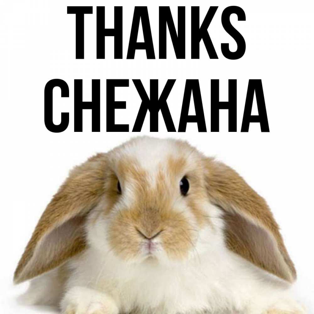 Greetings card с именем, Снежана Thanks коричнево белый заяц Greetings with text for free download 