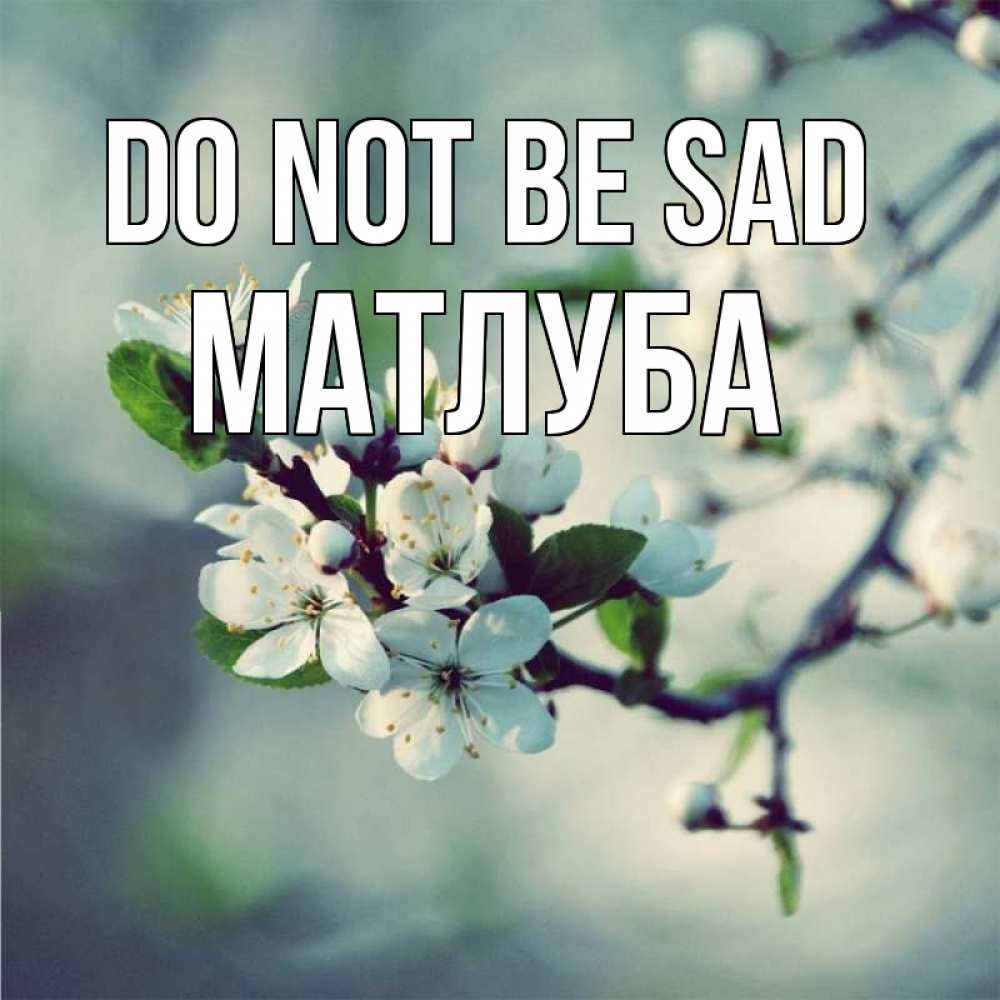 Greetings card с именем, МАТЛУБА Do not be sad яблоня в цвету 1 Greetings with text for free download 