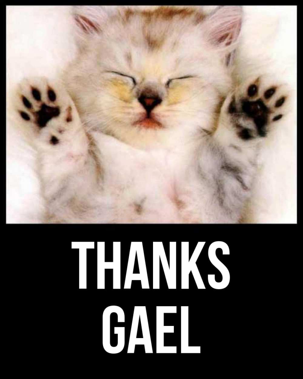 Greetings card с именем, Gael Thanks маленький котенок Greetings with text for free download 