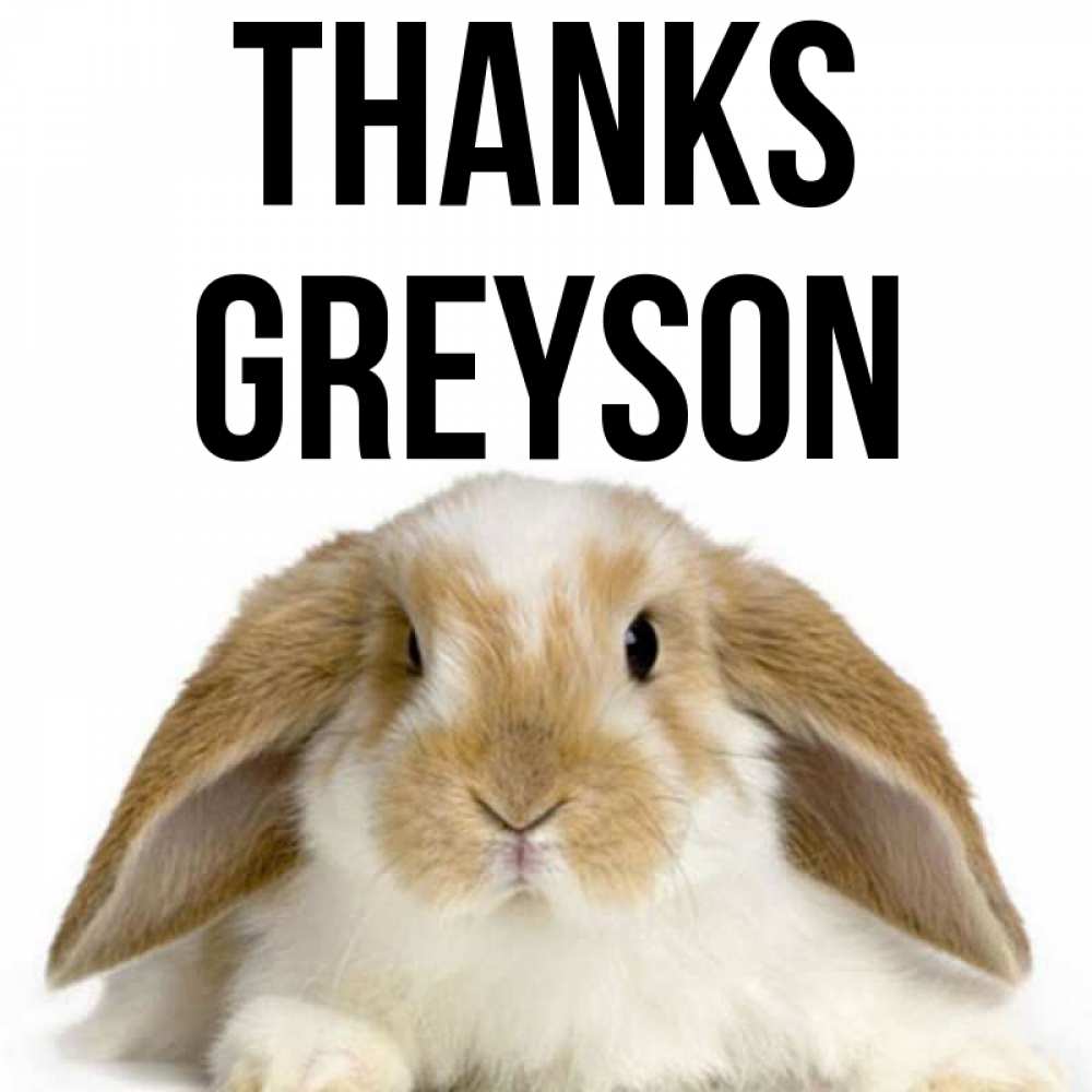 Greetings card с именем, Greyson Thanks коричнево белый заяц Greetings with text for free download 