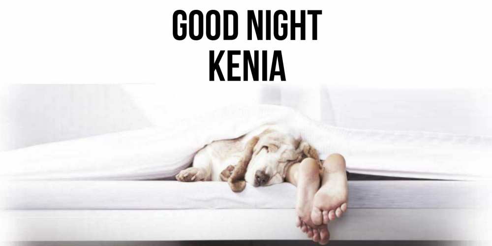 Greetings card с именем, Kenia Good night кровать с собакой пожелание сладких снов и спокойной ночи Greetings with text for free download 