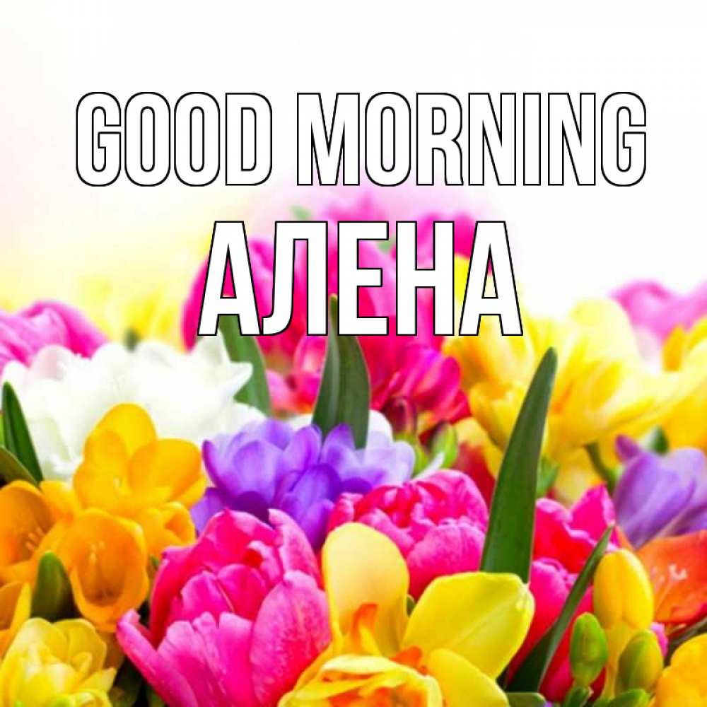 Greetings card с именем, Алена Good morning создать открытку со свое подписью Greetings with text for free download 