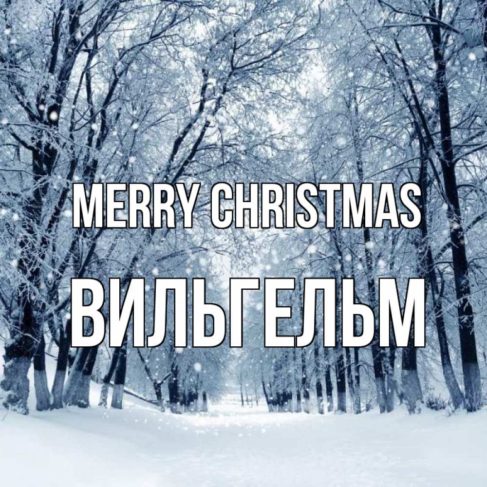 Greetings card с именем, Вильгельм Merry Christmas снег, лес, парк Greetings with text for free download 