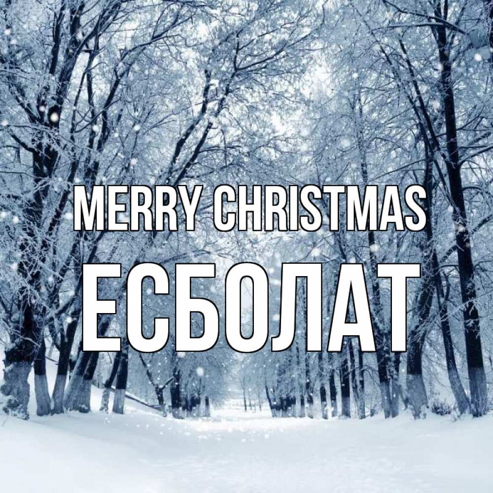 Greetings card с именем, Есболат Merry Christmas снег, лес, парк Greetings with text for free download 
