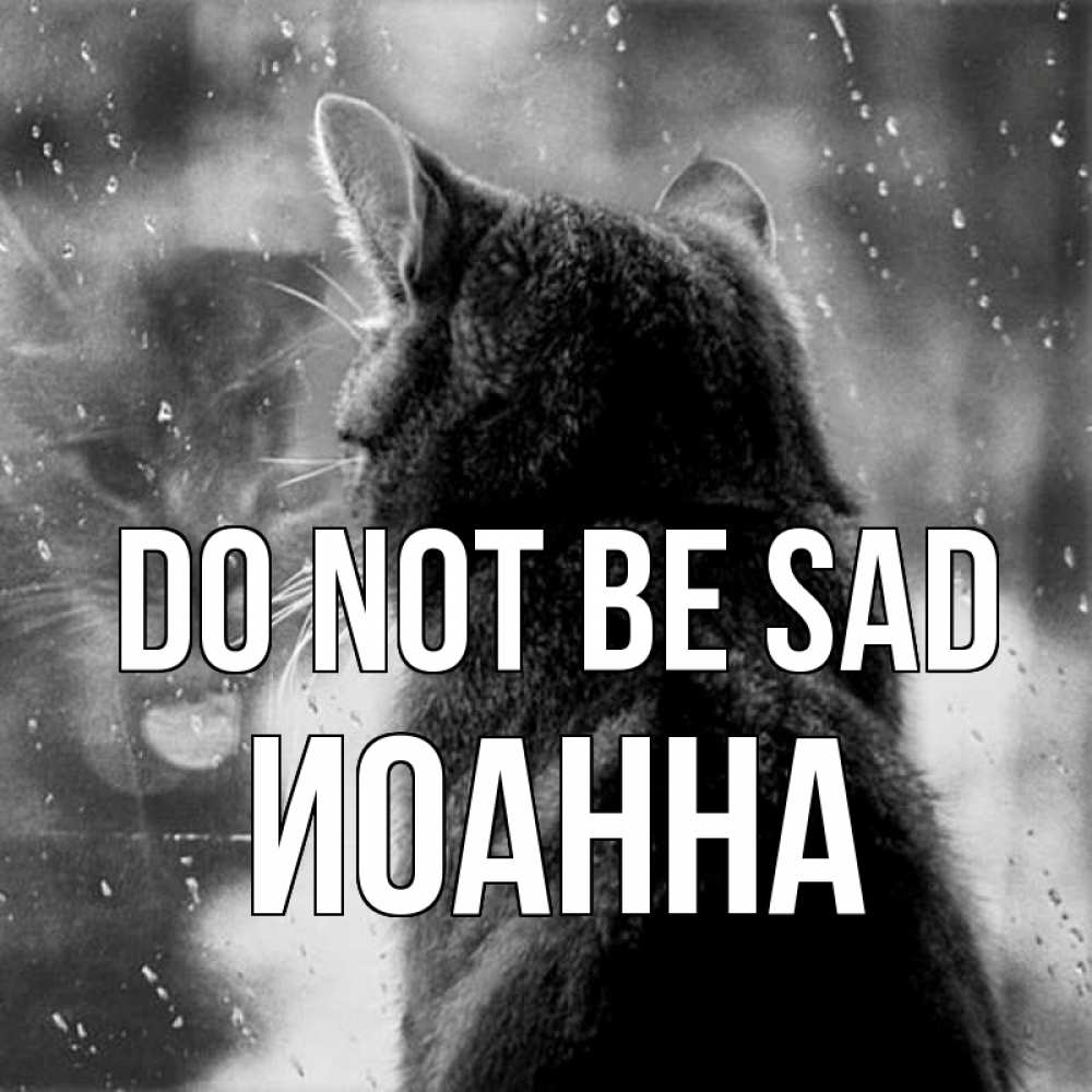 Greetings card с именем, Иоанна Do not be sad отражение кота 1 Greetings with text for free download 