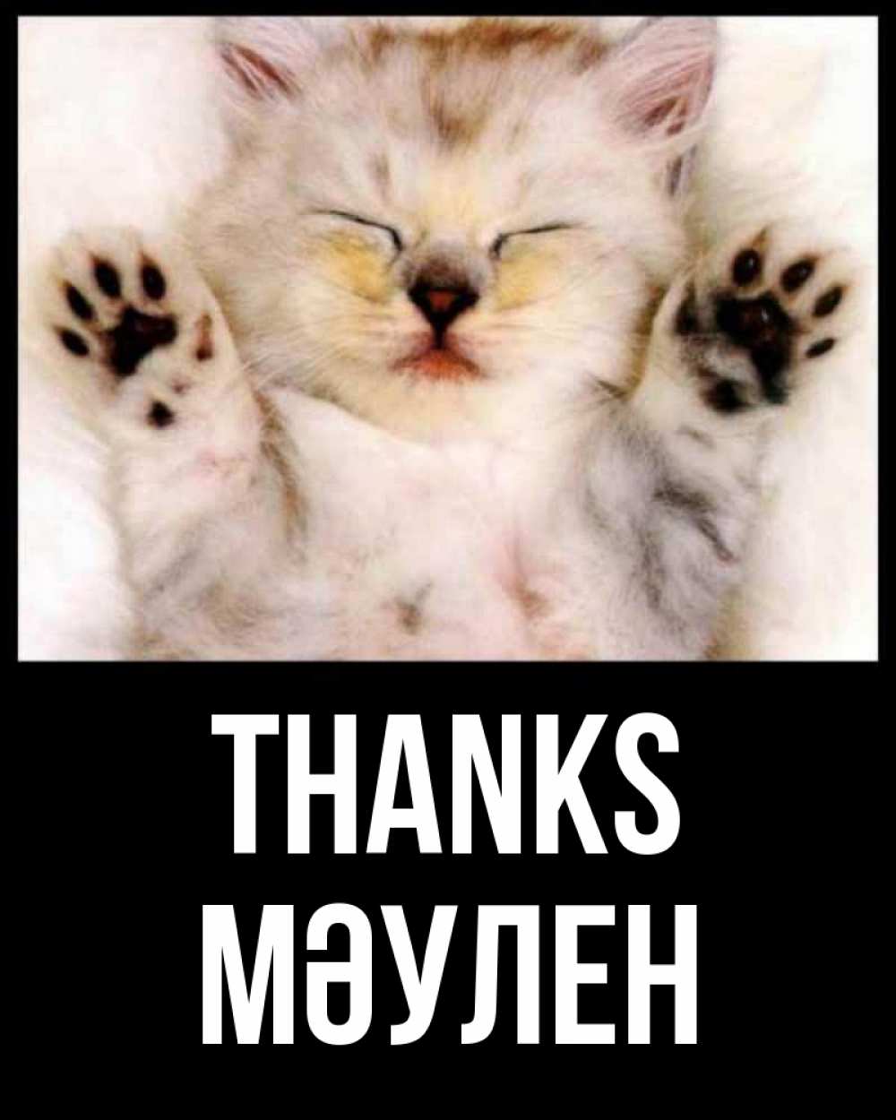 Greetings card с именем, МӘУЛЕН Thanks маленький котенок Greetings with text for free download 