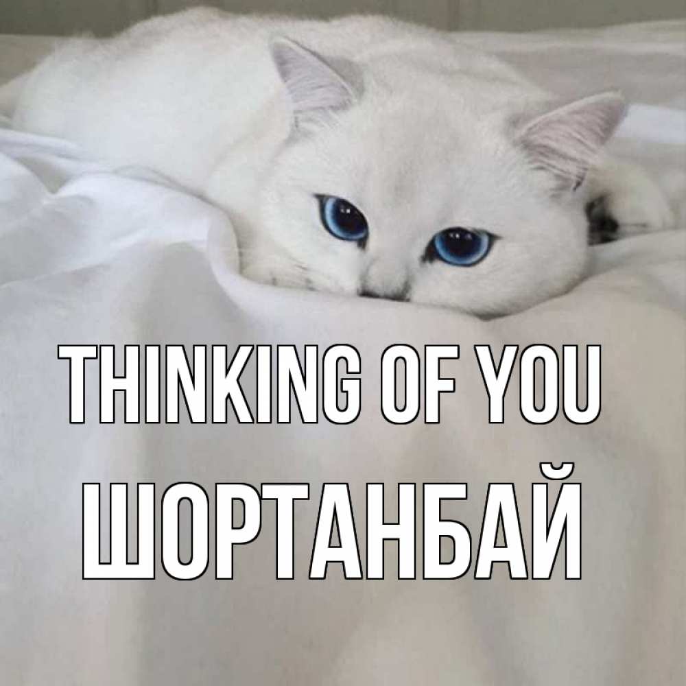 Greetings card с именем, ШОРТАНБАЙ Thinking of you я очень по тебе скучаю и тоскую Greetings with text for free download 