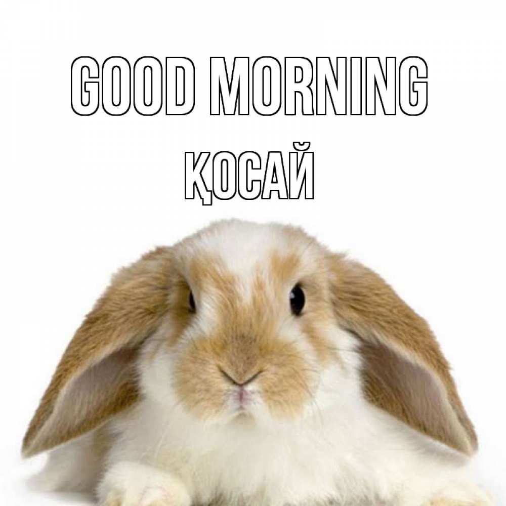Greetings card с именем, ҚОСАЙ Good morning прикольные открытки на каждый день Greetings with text for free download 