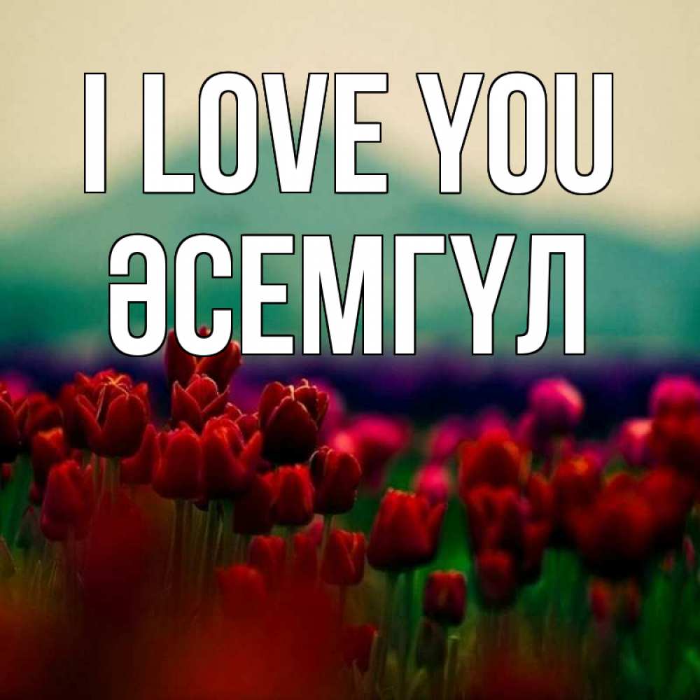 Greetings card с именем, ӘСЕМГҮЛ I love you тюльпаны 4 Greetings with text for free download 